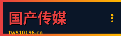 国产传媒
